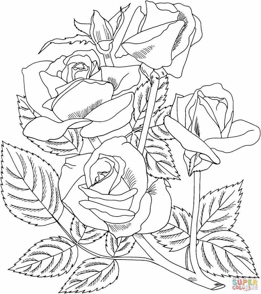 Grandiflora coloring #20, Download drawings