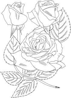 Grandiflora coloring #19, Download drawings