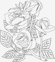 Grandiflora coloring #16, Download drawings