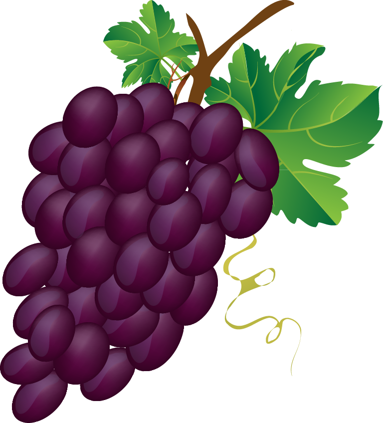Grapes clipart #10, Download drawings