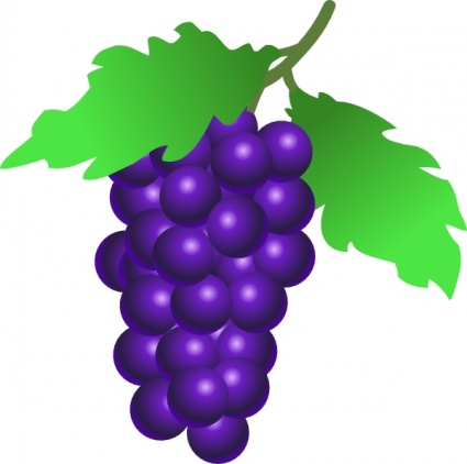 Grapes clipart #5, Download drawings