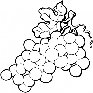 Grapes coloring #14, Download drawings