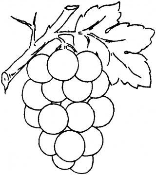 Grapes coloring #8, Download drawings