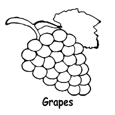 Grapes coloring #6, Download drawings