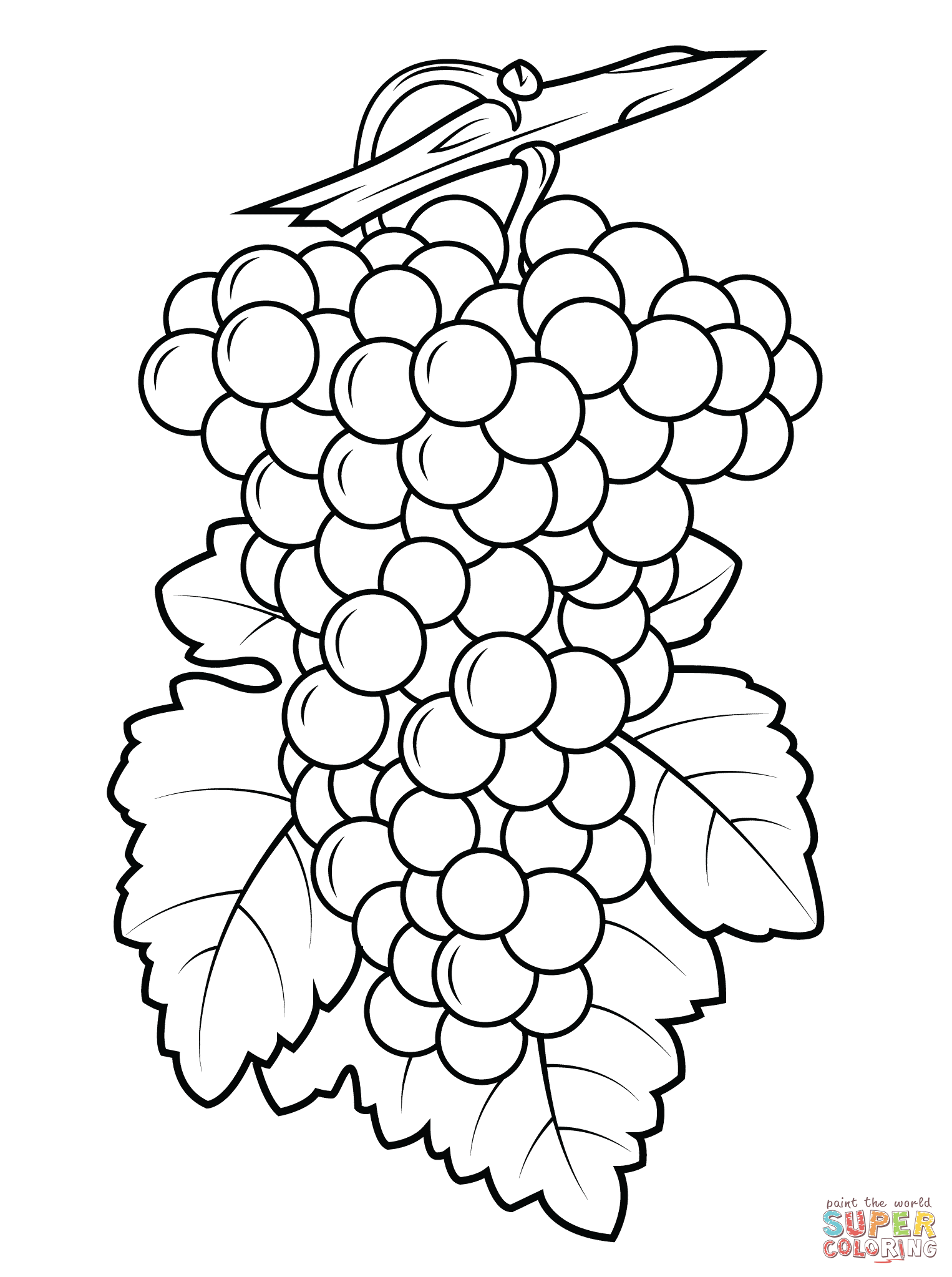 Grapes coloring #1, Download drawings