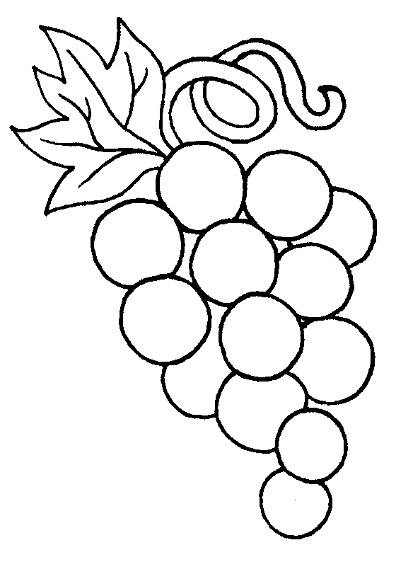 Grapes coloring #20, Download drawings