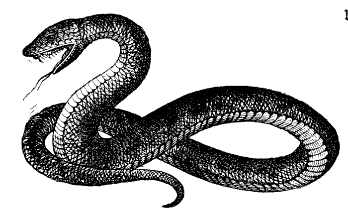 Grass Snake clipart #8, Download drawings