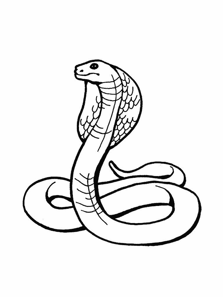 Grass Snake coloring #4, Download drawings