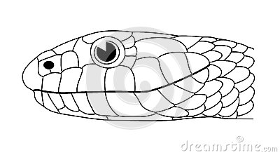 Grass Snake coloring #2, Download drawings
