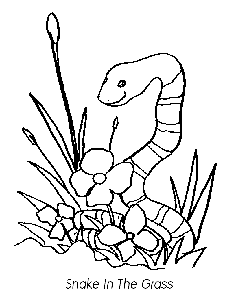 Grass Snake coloring #15, Download drawings