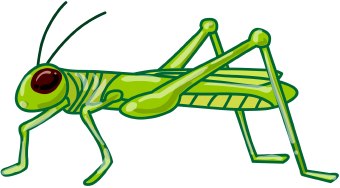 Grasshopper clipart #15, Download drawings