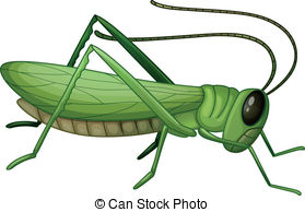 Grasshopper clipart #20, Download drawings