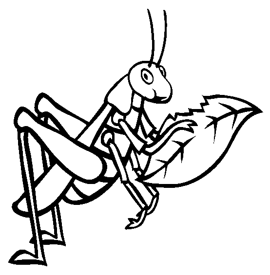 Grasshopper coloring #10, Download drawings