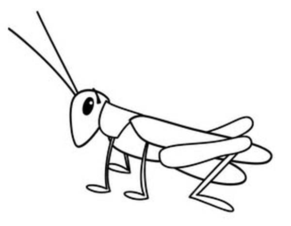 Locust coloring #5, Download drawings