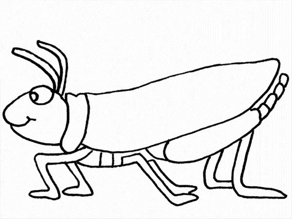 Grasshopper coloring #17, Download drawings