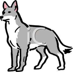 Gray Wolf clipart #9, Download drawings