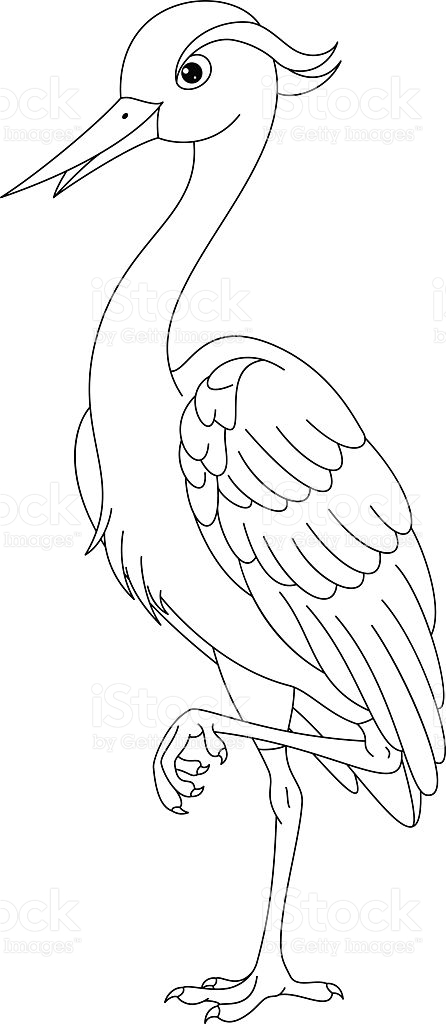 Gray Heron coloring #15, Download drawings