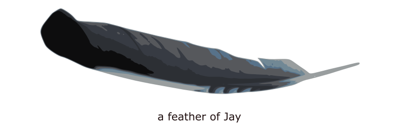 Gray Jay svg #17, Download drawings