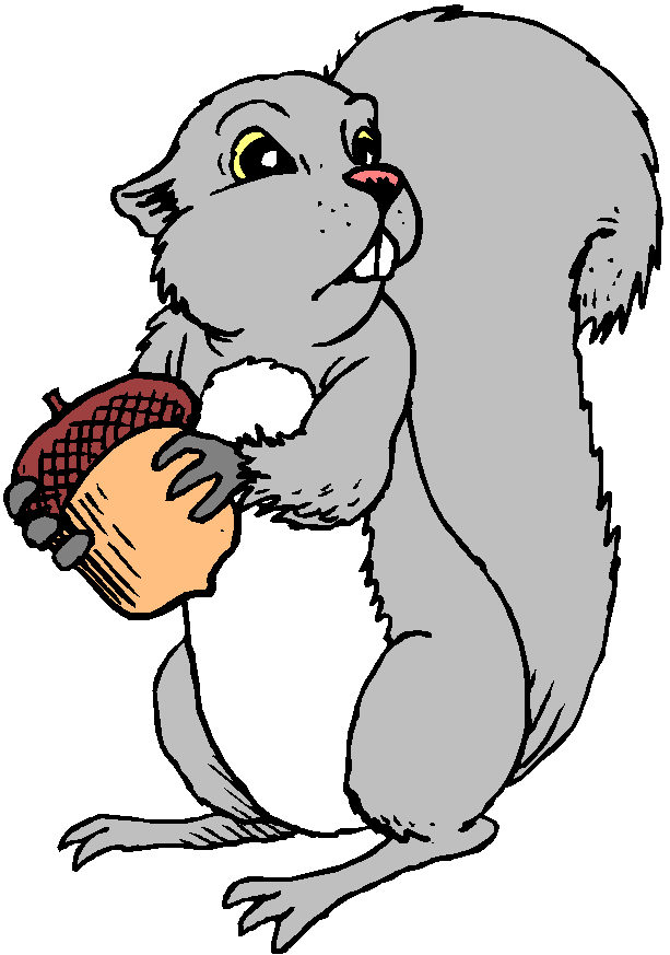 Gray Squirrel clipart #8, Download drawings