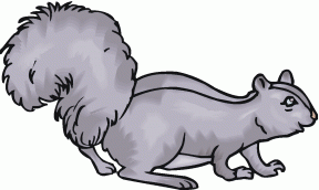 Gray Squirrel clipart #10, Download drawings