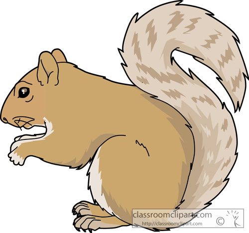 Gray Squirrel clipart #20, Download drawings