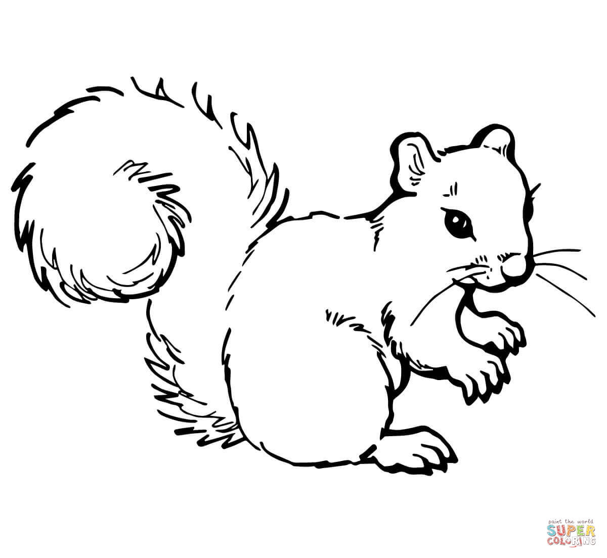 Red Squirrel coloring #5, Download drawings