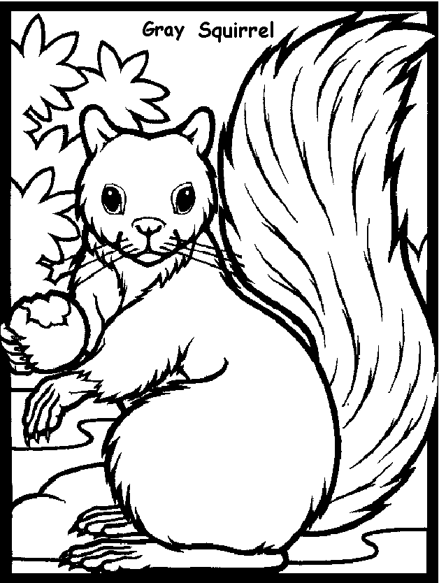 Gray Squirrel coloring #15, Download drawings
