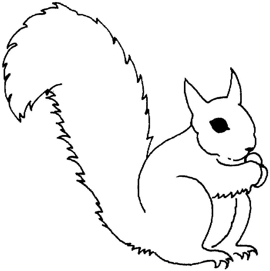Gray Squirrel coloring #5, Download drawings