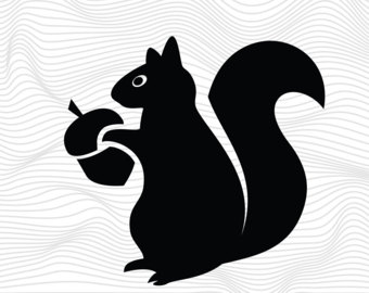 Gray Squirrel svg #16, Download drawings