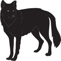 Gray Wolf clipart #4, Download drawings