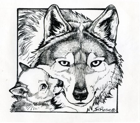 Gray Wolf coloring #2, Download drawings