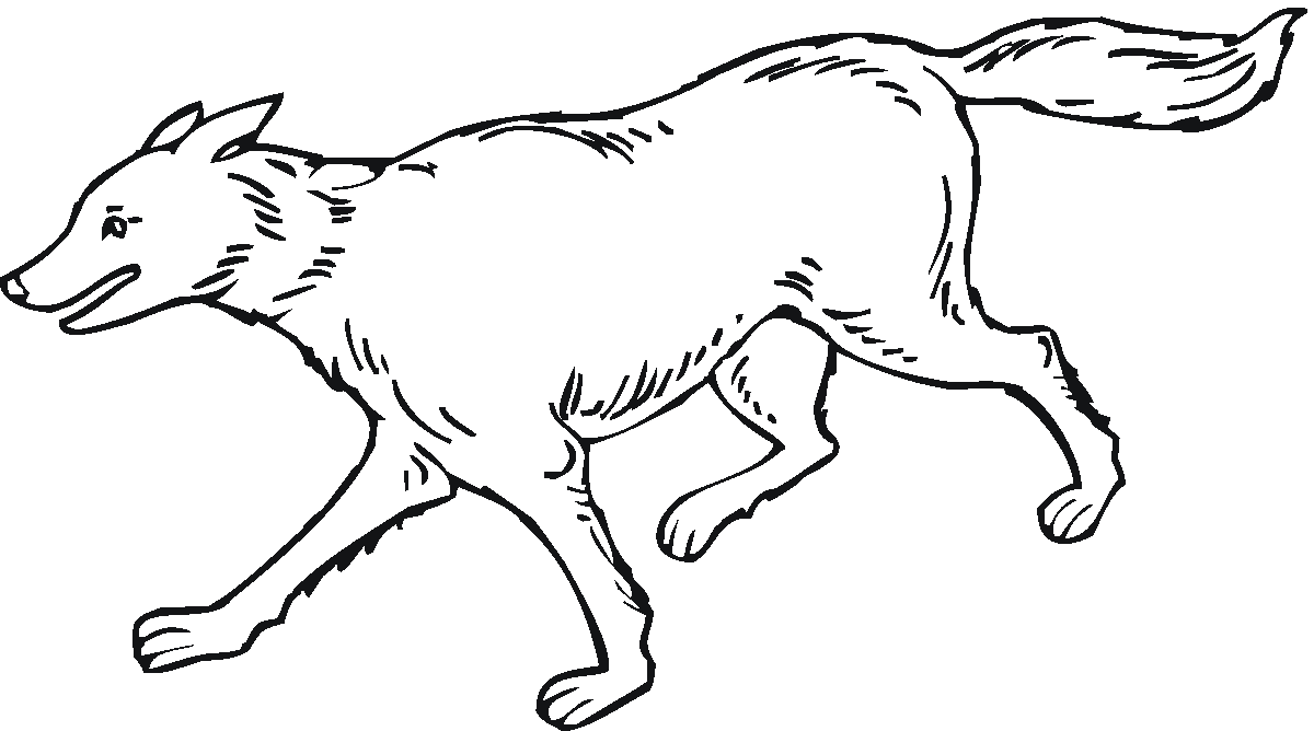 Gray Wolf coloring #12, Download drawings