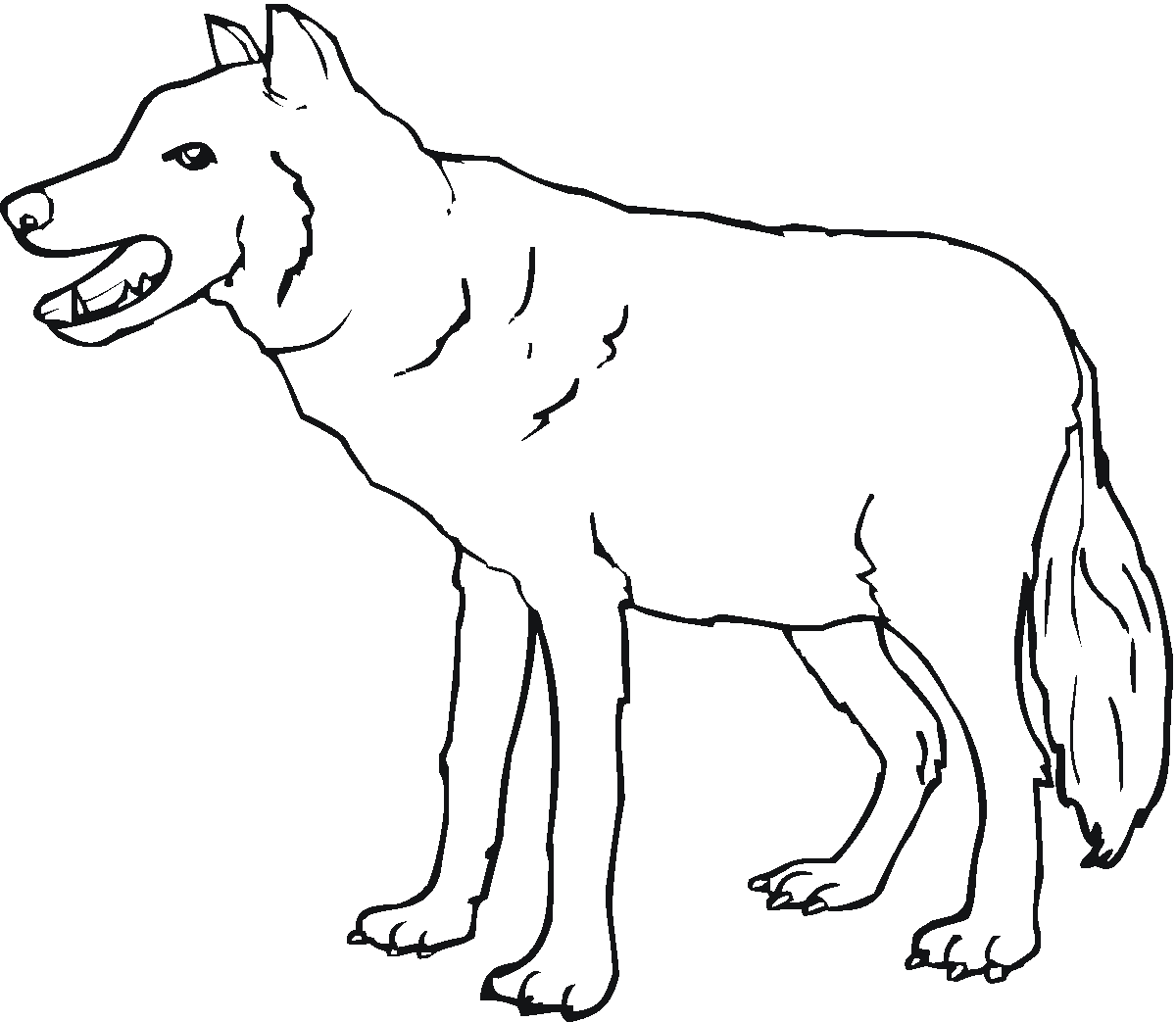 Gray Wolf coloring #18, Download drawings