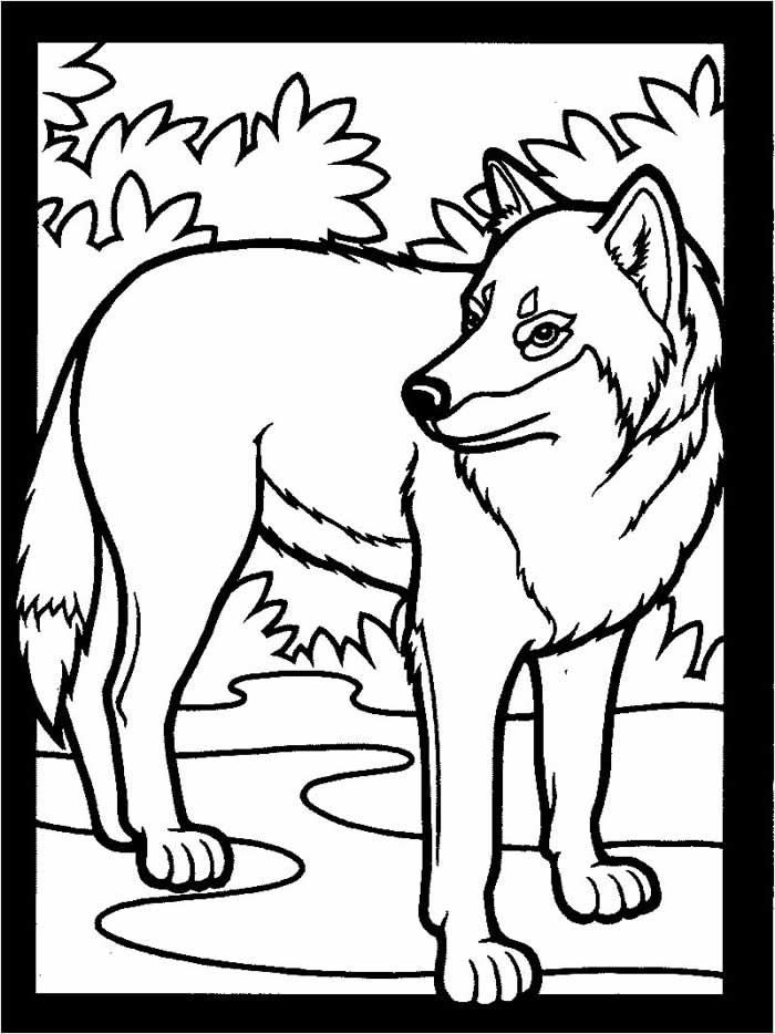 Gray Wolf coloring #17, Download drawings