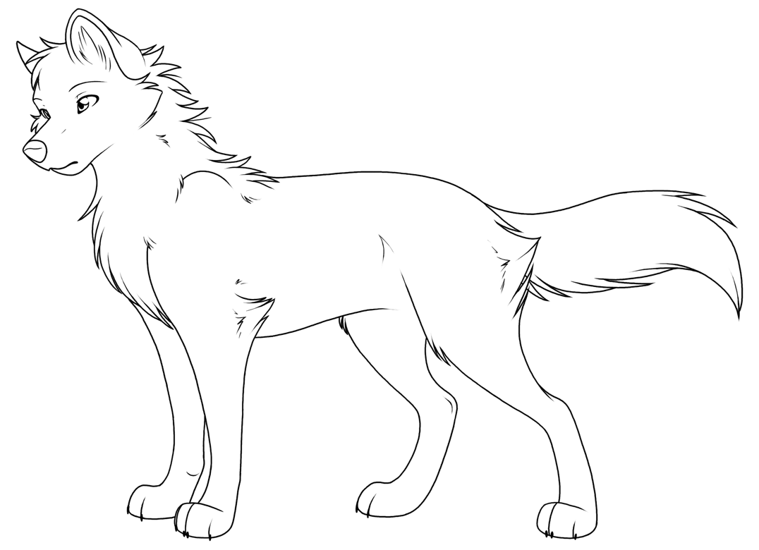 Gray Wolf coloring #1, Download drawings
