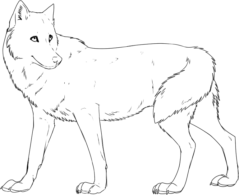 Gray Wolf coloring #16, Download drawings