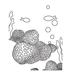Great Barrier Reef coloring #2, Download drawings