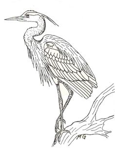 Great Blue Heron clipart #8, Download drawings