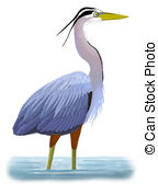Great Blue Heron clipart #5, Download drawings