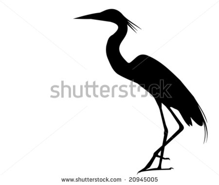 Great Egrets clipart #8, Download drawings