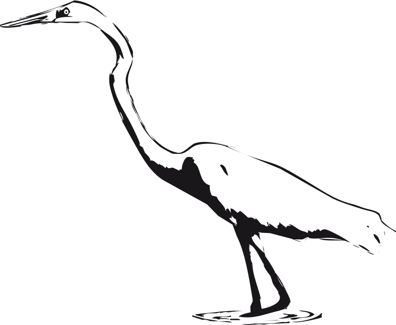 Great Egrets svg #15, Download drawings
