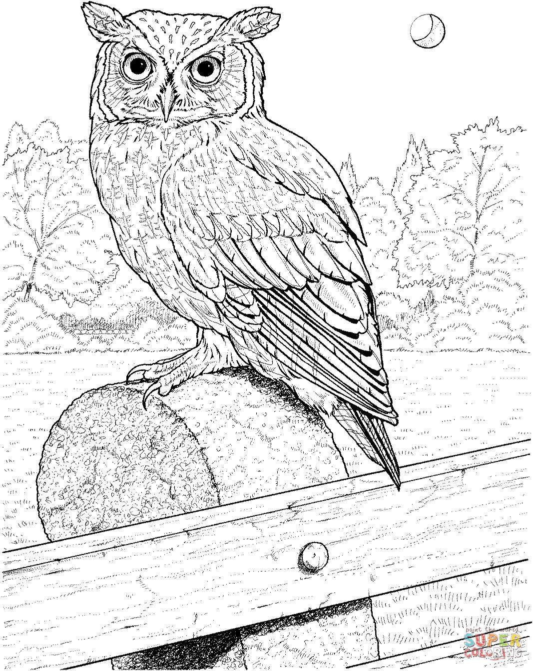 Horned Owl coloring #6, Download drawings