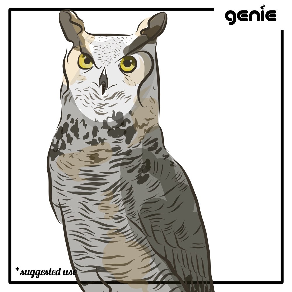 Great Horned Owl svg #14, Download drawings