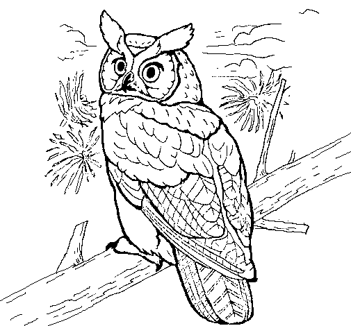 Great Horned Owl coloring #10, Download drawings