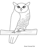 Great Horned Owl coloring #9, Download drawings