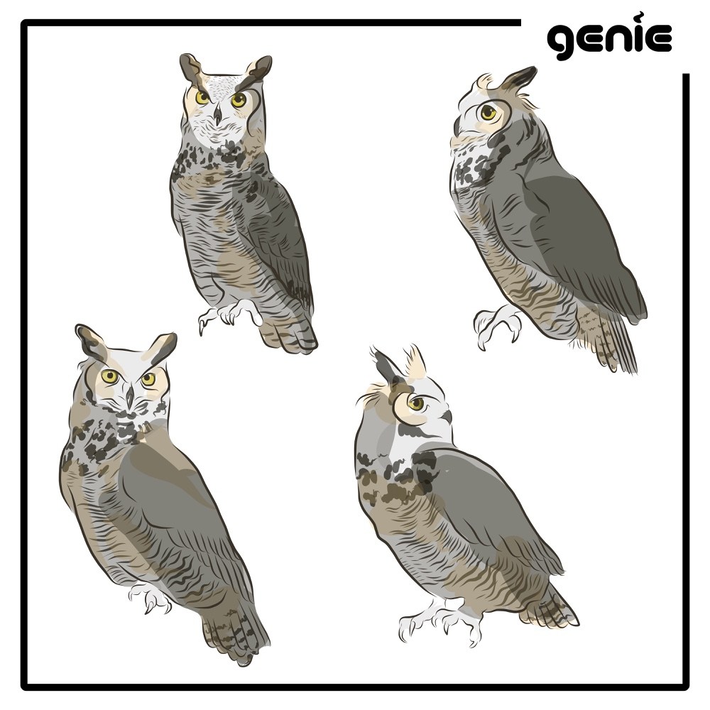 Great Horned Owl svg #20, Download drawings