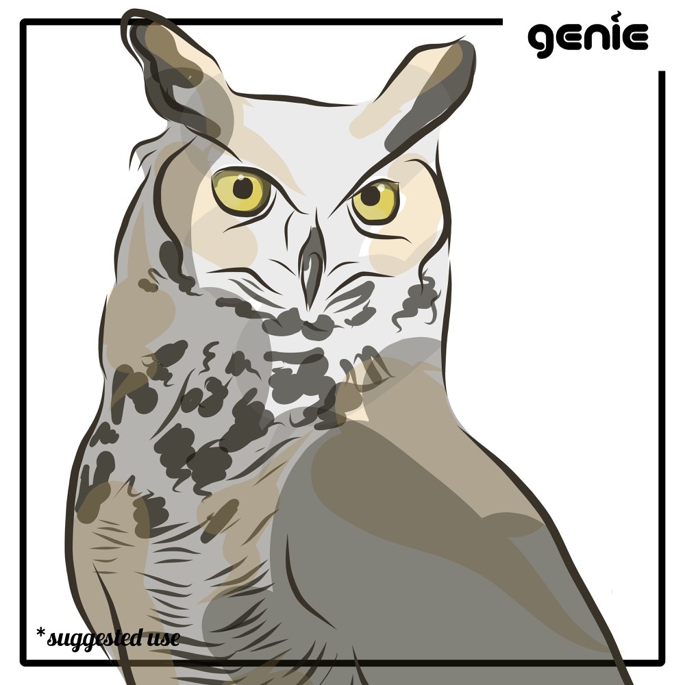 Great Horned Owl svg #10, Download drawings