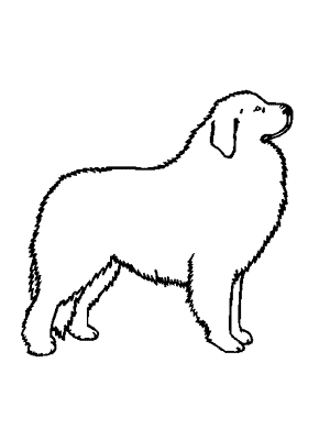 Great Pyrenees clipart #2, Download drawings