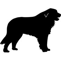 Great Pyrenees svg #16, Download drawings