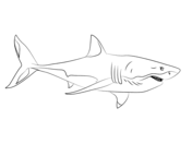 Great White Shark coloring #11, Download drawings